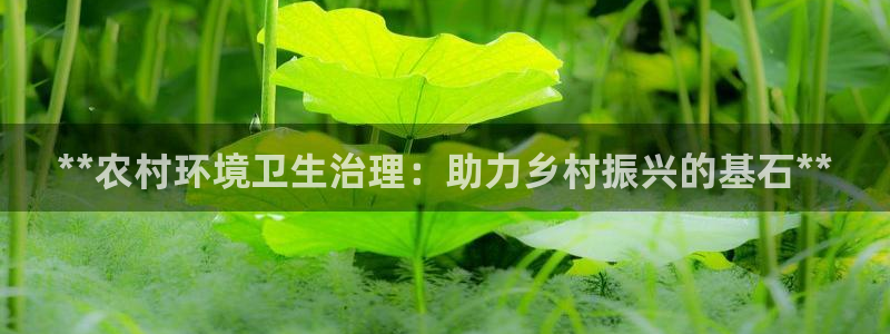百家乐凯发k8：**农村环境卫生治理：助