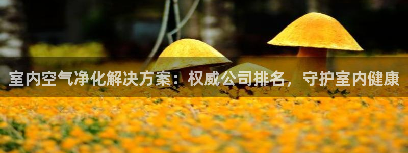 k8凯发|室内空气净化解决方案：权威公司排名，守护室内健康