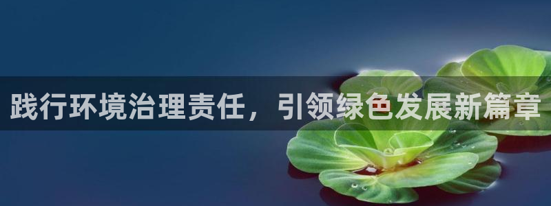 凯发网娱乐官网登录