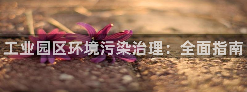 凯发k8国际首页登录|工业园区环境污染治理：全面指南