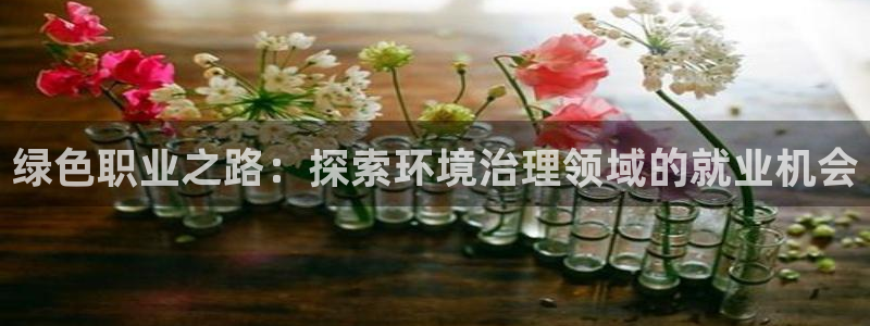 凯发k8官方旗舰店app|绿色职业之路：