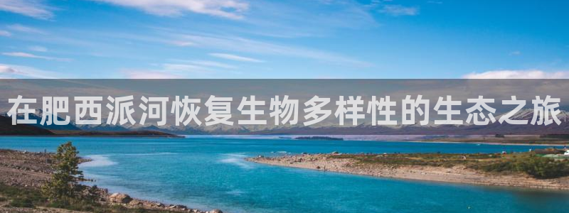 凯发k8国际手机下载|在肥西派河恢复生物