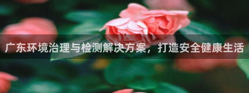 凯发就来凯发天生赢家一触即发|广东环境治理与检测解决方案，打造安全健康生活