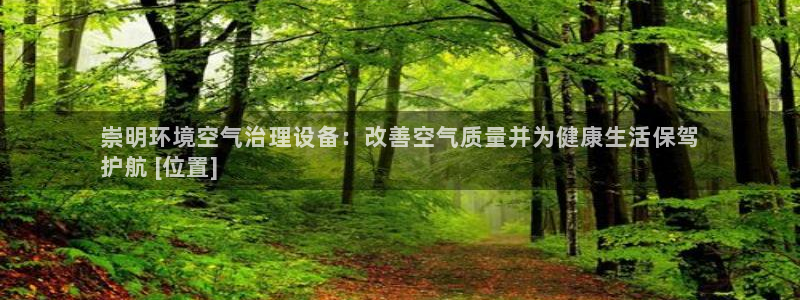 凯发唯一官方网站|崇明环境空气治理设备：改善空气质量并为健康生活保驾
护航 [位