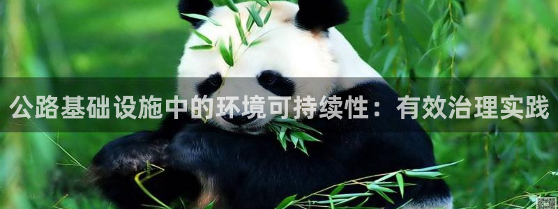 凯发k8国际首页登录|公路基础设施中的环境可持续性：有效治理实践