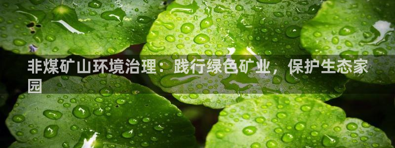 凯发k8·中国官方网站|非煤矿山环境治理：践行绿色矿业，保护生态家
园