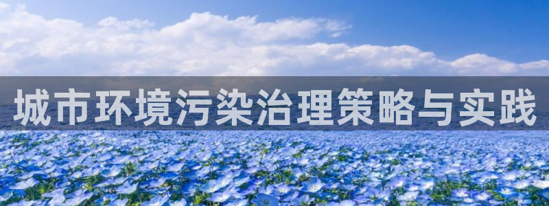 凯发官网入口首页|城市环境污染治理策略与实践